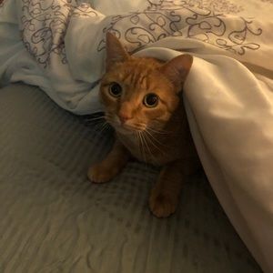 Meet your Posher, Jill